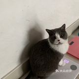 像这样？我家主子的高萌瞬间