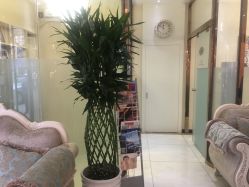 -紫洁俪方（北京）医疗美容