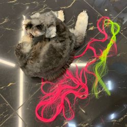-KS COLOUR漂色·染发·画染