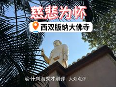 -西双版纳勐泐文化旅游区