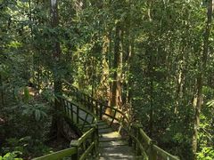 -乌鲁淡布隆国家公园