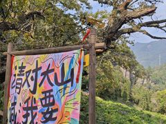 -石台牯牛降景区