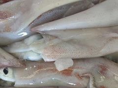 鱿鱼-芦潮港集贸市场