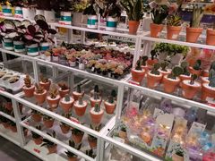 -KKV(深圳宏发大仟里店)