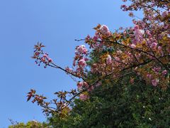 -吴山景区
