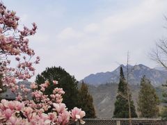 -居庸关长城