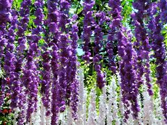 -楠溪江风景名胜区