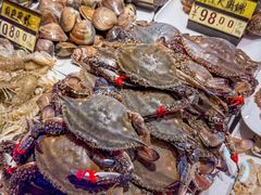 -渔娘渔家丹东海鲜(东直门店)