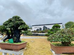 -炎帝陵景区