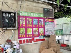 -马陆小张葡萄园农家乐