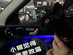 -美联众合动物医院·24h转诊中心