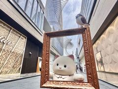 -深圳湾万象城(南山店)