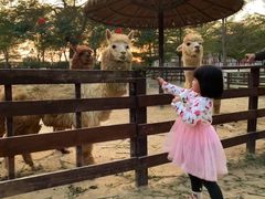 -盈香心动乐园