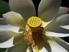 -维乐口腔医院(星海湾分院)