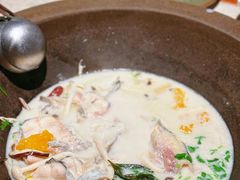 -鲜潭蒸汽石锅鱼(五道口购物中心店)