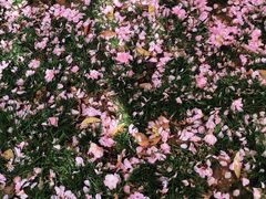 -渭河城市绿地运动公园