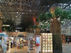 -杭州开元森泊度假乐园