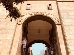 -武汉大学-樱园