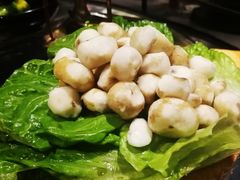 海南野生小马蹄-凤园椰珍·臻品椰子鸡(保利时光里店)