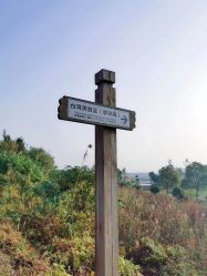 -水八仙生态园