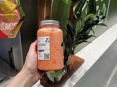 -野萃山·潮汕厚果汁(十亩地店)