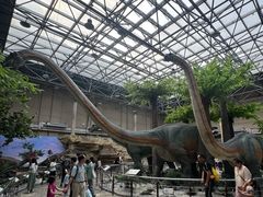 -国家自然博物馆