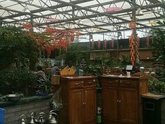 大堂-老磨油饼(高陵店)