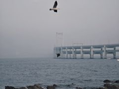 -黑石礁公园