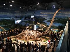 -自贡恐龙博物馆