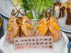 -喜聚薈·花膠雞海鮮火鍋(越秀店)
