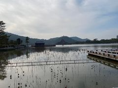 -顺峰山公园