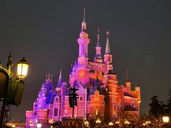 -上海迪士尼度假区