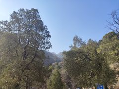 -神憩宾馆-餐厅