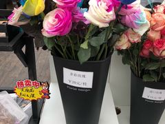 -荷兰花海