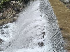 -西岭雪山大飞水景区