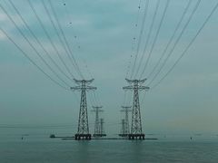 -宝安西湾红树林湿地公园