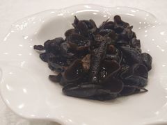 芥末木耳-梅龙镇酒家(南京西路总店)