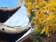 -龙华素斋(龙华路店)