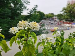 -苦尽酒馆·川菜(鼓楼店)
