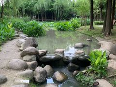 -陈家山荷花公园