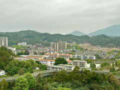 -福道