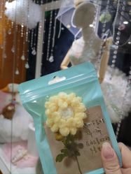-艾薇芭蕾艺术中心
