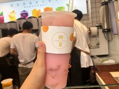 -树夏(建设路店)