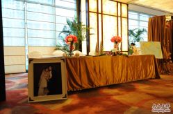 -DNA Wedding 婚礼记(上海店)