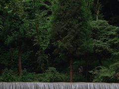 -西岭雪山大飞水景区
