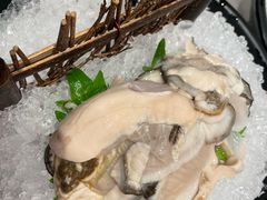 -海月轩海鲜豆捞(紫金塔店)