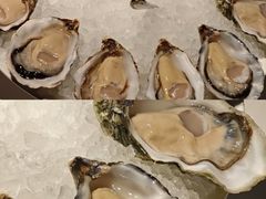 -Oyster Talks 四度蚝法餐厅