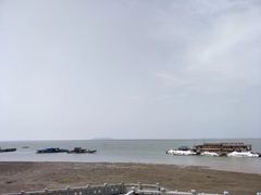 -湖南东洞庭湖国家级自然保护区