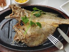 潮煎黄花鱼-潮界(虹桥新天地店)