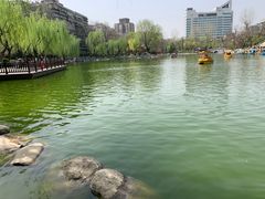 -莲湖公园